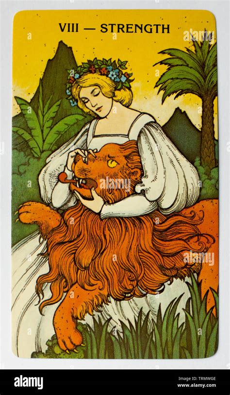 la fuerza tarot|Strength (tarot card)